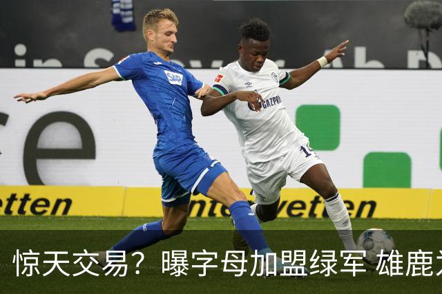 惊天交易？曝字母加盟绿军 雄鹿为布朗寻找第三方